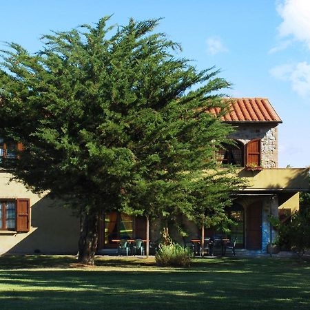 Appartamento Uva - Agriturismo Le Selvole 波马兰切 外观 照片